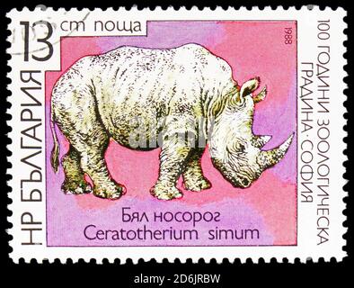 MOSKAU, RUSSLAND - 10. SEPTEMBER 2020: In Bulgarien gedruckte Briefmarke zeigt Weißes Nashorn (Ceratotherium simum), Zoologischer Garten der Serie Sofia, Stockfoto