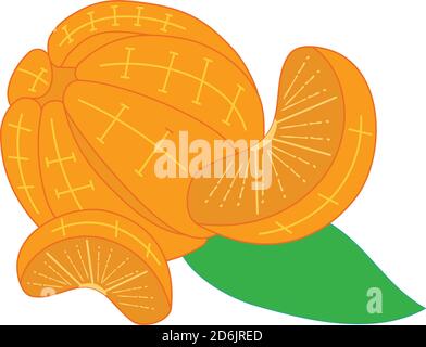 Orange ohne Peel Illustration Design Template Stock Vektor