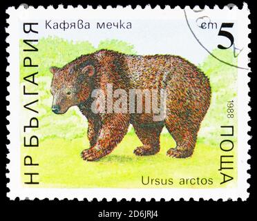 MOSKAU, RUSSLAND - 10. SEPTEMBER 2020: In Bulgarien gedruckte Briefmarke zeigt Braunbär (Ursus arctos), Bären-Serie, um 1988 Stockfoto