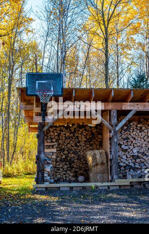 Schmutz Basketballplatz und Reifen montiert, um in ländlichen Schuppen Hinterhof Stockfoto