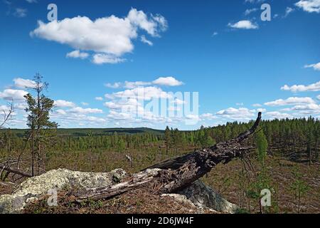 Blick vom Kolabod in Vasterbotten, Schweden. Stockfoto