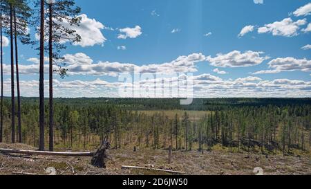 Blick vom Kolabod in Vasterbotten, Schweden. Stockfoto