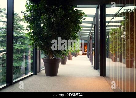 Blick auf das luxuriöse Interieur eines Hotelgebäudes, einen Korridor mit Glaswänden und Dach, große Töpfe mit Grünpflanzen und einen Teppich auf einem Boden. Stockfoto