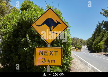 Roo-Schild. Eine typische Szene beim Fahren im Outback in Australien, in der vor Kängurus gewarnt wird, die die Straße überqueren. Stockfoto