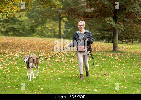 Northampton, Großbritannien, 18. Oktober 2020. Menschen und Hunde in Abington Park an einem kühlen Sonntagmorgen zum Vergnügen Angeln und andere zu Fuß ihre Hunde an einem herbstlichen Morgen. Kredit: Keith J Smith./Alamy Live Nachrichten Stockfoto