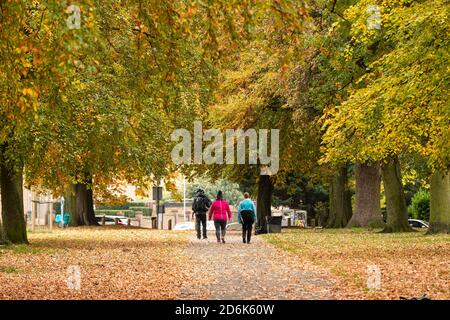 Northampton, Großbritannien, 18. Oktober 2020. Menschen und Hunde in Abington Park an einem kühlen Sonntagmorgen zum Vergnügen Angeln und andere zu Fuß ihre Hunde an einem herbstlichen Morgen. Kredit: Keith J Smith./Alamy Live Nachrichten Stockfoto