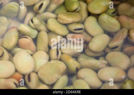 Draufsicht auf getrocknete Saubohnen (Vicia Faba) in Wasser eingeweicht in einem Topf, vor dem Kochen Stockfoto