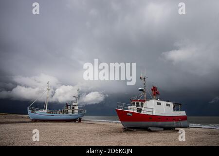 Küstenschneider am Strand von Thorup, Dänemark Stockfoto