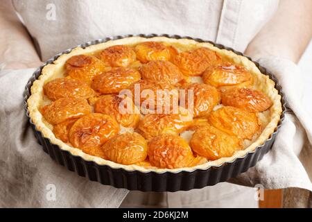 Nahaufnahme Koch Hände halten frisch gebackenen Aprikosenkuchen mit frischen Früchten. Geringer Fokus. Stockfoto