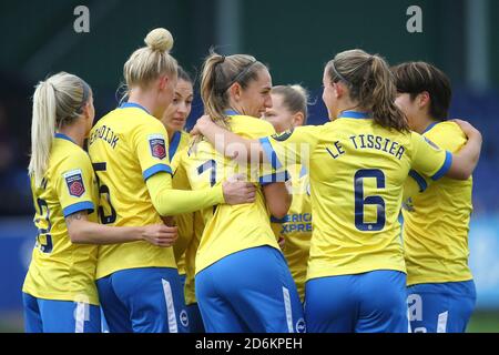 Liverpool, Großbritannien. Oktober 2020. Brighton & Hove Albion Spieler feiern, nachdem Rikke Sevecke von Everton ein eigenes Tor erzielte, um Brighton ihr 1. Tor und eine 0-1 Führung zu geben. Barclays Women's super League match, Everton Women gegen Brighton & Hove Albion Women im Walton Hall Park in Liverpool am Sonntag, 18. Oktober 2020. Dieses Bild darf nur für redaktionelle Zwecke verwendet werden. Nur redaktionelle Verwendung, Lizenz für kommerzielle Nutzung erforderlich. Keine Verwendung in Wetten, Spiele oder einem einzigen Club / Liga / Spieler Publikationen.pic von Chris Stading / Andrew Orchard Sport Fotografie / Alamy Live News Stockfoto