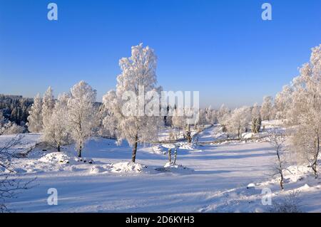 Winter in einer Kulturlandschaft, Åsens by, Aneby, Småland, Schweden, Sverige Stockfoto