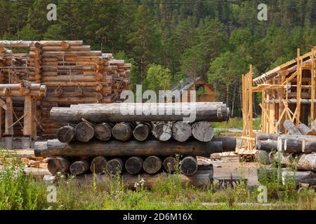 Große gesägt, Kiefer, Bäume sind in einem Haufen für die Vorbereitung der Produktion von Baustoffen und den Bau von Haus und Gebäude gelegt. Ar Stockfoto