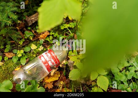 Alte Coca-Cola-Flasche im Wald. Plastik Recycling, Verschmutzung und globale Erwärmung Thema. Auswirkungen der Branchen auf die Umwelt. Stockfoto