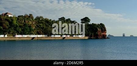 Kreuzfahrtschiff Zaandam vor Roundham Head in Torbay während der Coronavirus-Pandemie vor Anker. Stockfoto
