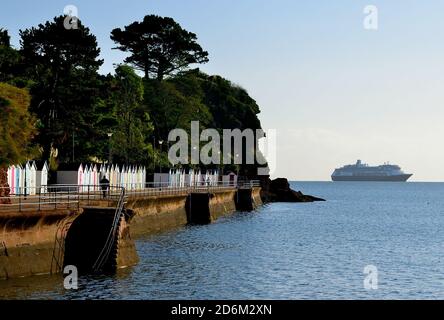 Kreuzfahrtschiff Zaandam vor Roundham Head in Torbay während der Coronavirus-Pandemie vor Anker. Stockfoto