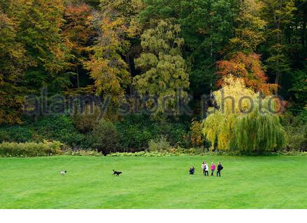 Edinburgh, Schottland, Großbritannien. Oktober 2020. Herbstliche Farben im At Dalkeith Country Park sorgen trotz eines grauen und bewölkten Tages für etwas Jubel. Kredit: Craig Brown/Alamy Live Nachrichten Stockfoto