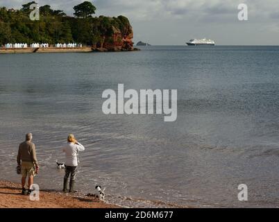 Hundewanderer am Strand von Goodrington und betrachten das Kreuzfahrtschiff Zaandam, das während der Coronavirus-Pandemie in Tor Bay vor Anker lag. Stockfoto