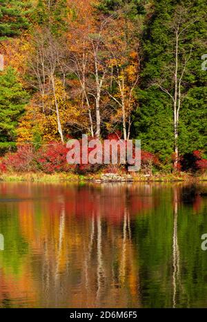 422-Acre Promised Land Lake im Promised Land State Park ist Das Hotel liegt in Pennsylvania Pocono Mountains Stockfoto