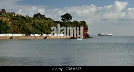 Kreuzfahrtschiff Zaandam vor Roundham Head in Tor Bay während der Coronavirus-Pandemie vor Anker. Stockfoto