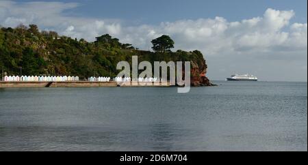 Kreuzfahrtschiff Zaandam vor Roundham Head in Tor Bay während der Coronavirus-Pandemie vor Anker. Stockfoto