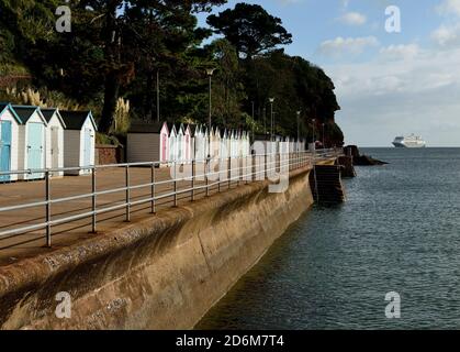 Kreuzfahrtschiff Zaandam vor Roundham Head in Tor Bay während der Coronavirus-Pandemie vor Anker. Stockfoto