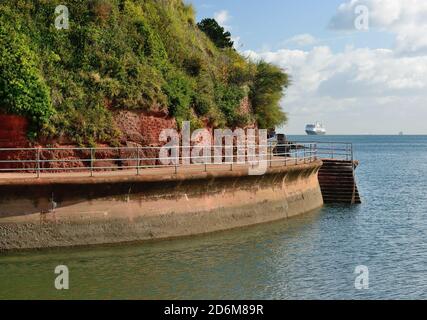 Kreuzfahrtschiff Zaandam vor Roundham Head in Tor Bay während der Coronavirus-Pandemie vor Anker. Stockfoto