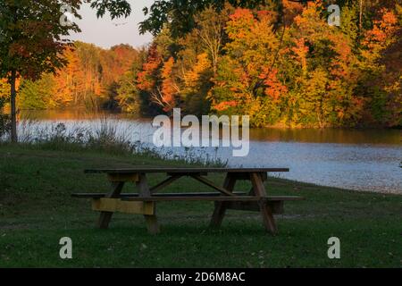 Herbstbrocken. Rote, orange und gelbe Ahornblätter Stockfoto