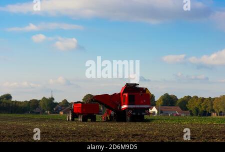 Traktor und Mähdrescher auf dem Bauernhof während der Herbsternte. Horizontale Komposition, Farbbild, Editorial. Stockfoto