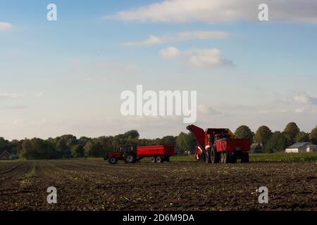 Traktor und Mähdrescher auf dem Bauernhof während der Herbsternte. Horizontale Komposition, Farbbild, Editorial. Stockfoto