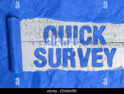 Textschild mit Quick Survey. Business Foto Text Führen Sie schnelle Überprüfung auf Zustand Wert Situation von etwas gerollt gerissen zerrissene Pappe platziert ein Stockfoto