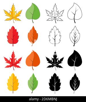 Lässt Silhouette, Umriss und Farbsymbol auf Weiß isoliert. Vielfalt der Herbst fallen, Blattform. Sammlung von Vektor-Laub Illustration. Meer Stock Vektor