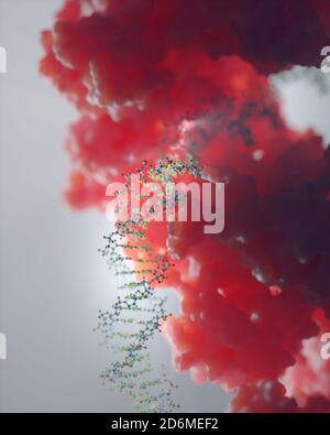 DNA, die genetische Anweisungen trägt, befindet sich im Zellkern, wo sie mit verschiedenen Proteinen in verschiedenen Prozessen interagiert, wie zum Beispiel Replikation. Stockfoto
