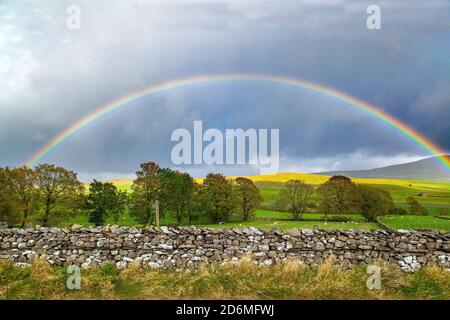 Regenbogen über dem Yorkshire Dales Nationalpark Landschaft Ribblesdale England Großbritannien mit Ackerland und Trockenmauern Stockfoto