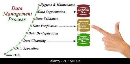 Komponenten von Data Management Prozess Stockfoto