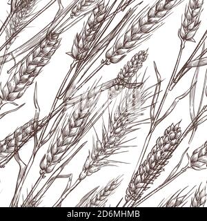 Weizen Getreide Spikelets, Vektor nahtloses Muster. Skizze handgezeichnete Illustration. Bäckerei und Mehl Paket Hintergrund. Stock Vektor