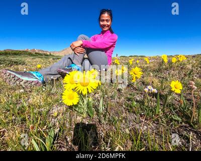 Umgeben von Gänseblümchen auf Kokomo Pass, Colorado Trail, Breckenridge, Colorado Stockfoto