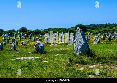 Stehende Steine in der Menec-Ausrichtung, eine der drei Hauptgruppen von stehenden Steinen in Carnac, Bretagne, Frankreich. Stockfoto