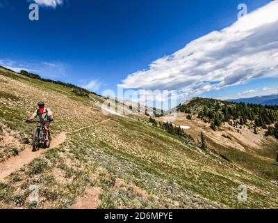 Mountainbiken auf dem Colorado Trail, Colorado Stockfoto