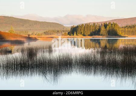 Sonnenaufgang am Stroan Loch im Herbst, Galloway Forest, Dumfries & Galloway, Schottland Stockfoto