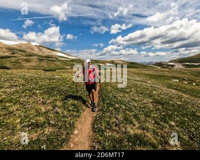 Trekking auf dem 485 Meilen Colorado Trail, Colorado Stockfoto