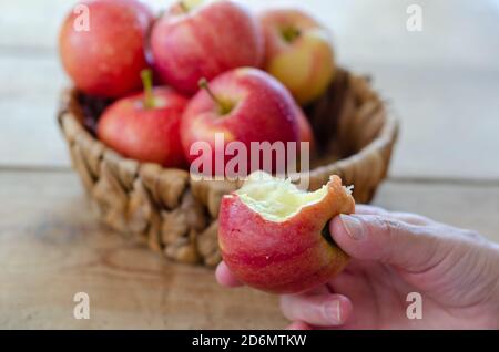 Die Frau hält einen gebissenen Apfel in der Hand.im Hintergrund befinden sich Äpfel in einem Korb. Stockfoto