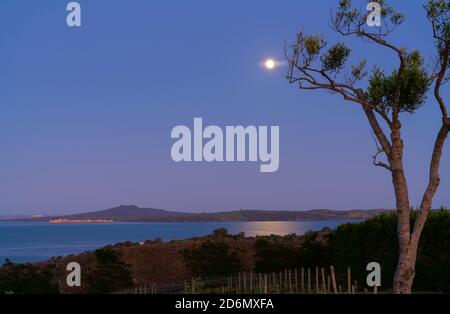 Von Waiheke aus geht der Sonnenuntergang über dem Hafen von Auckland auf, während der Mondschein noch am Himmel zu sehen ist und am Horizont die Insel Rangitoto reflektiert. Stockfoto