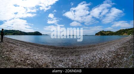 Scenic man O war Bay auf Waiheke Island Neuseeland Stockfoto