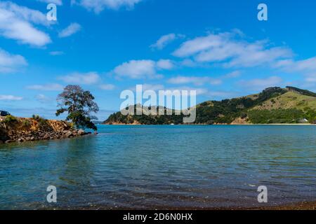 Scenic man O war Bay und umliegende Land mit einem Tree on Point auf Waiheke Island Neuseeland Stockfoto