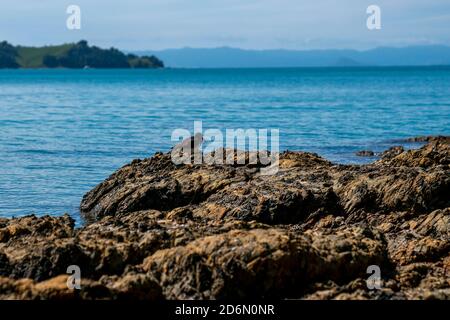 Glitzerndes türkisfarbenes Wasser der malerischen Bucht jenseits des felsigen Vorgebirges. Stockfoto