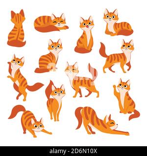 Rote niedliche Katze in verschiedenen Posen. Vektor Cartoon flache Illustration. Lustige verspielte Kitty isoliert auf weißem Hintergrund. Stock Vektor