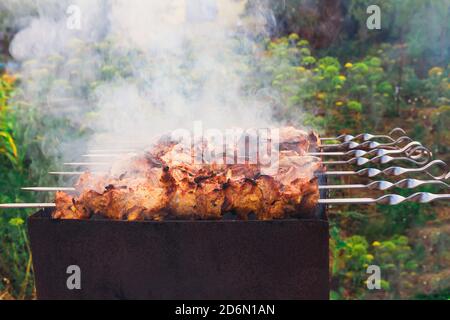 Vorbereitung von duftenden leckeren Grill auf dem Grill auf der Außenseite. Stockfoto