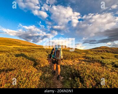 Wandern zum Snow Mesa auf dem 485 Meilen langen Colorado Trail, Colorado Stockfoto