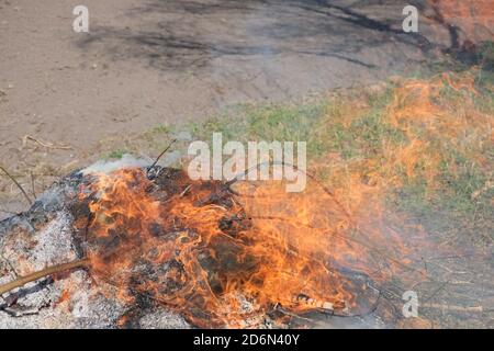 Großes Lagerfeuer im Freien. Ein Haufen Asche aus verbrannten Brettern und Ästen. Heiße Flamme. Stockfoto