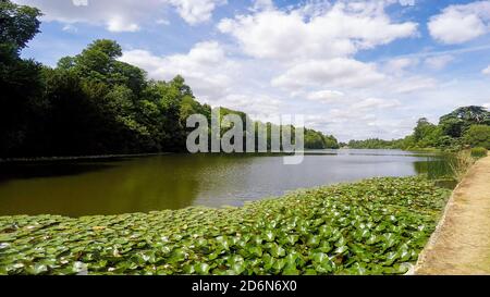 Der See auf dem Gelände des Blenheim Palace in der Nähe von Woodstock, Großbritannien Stockfoto